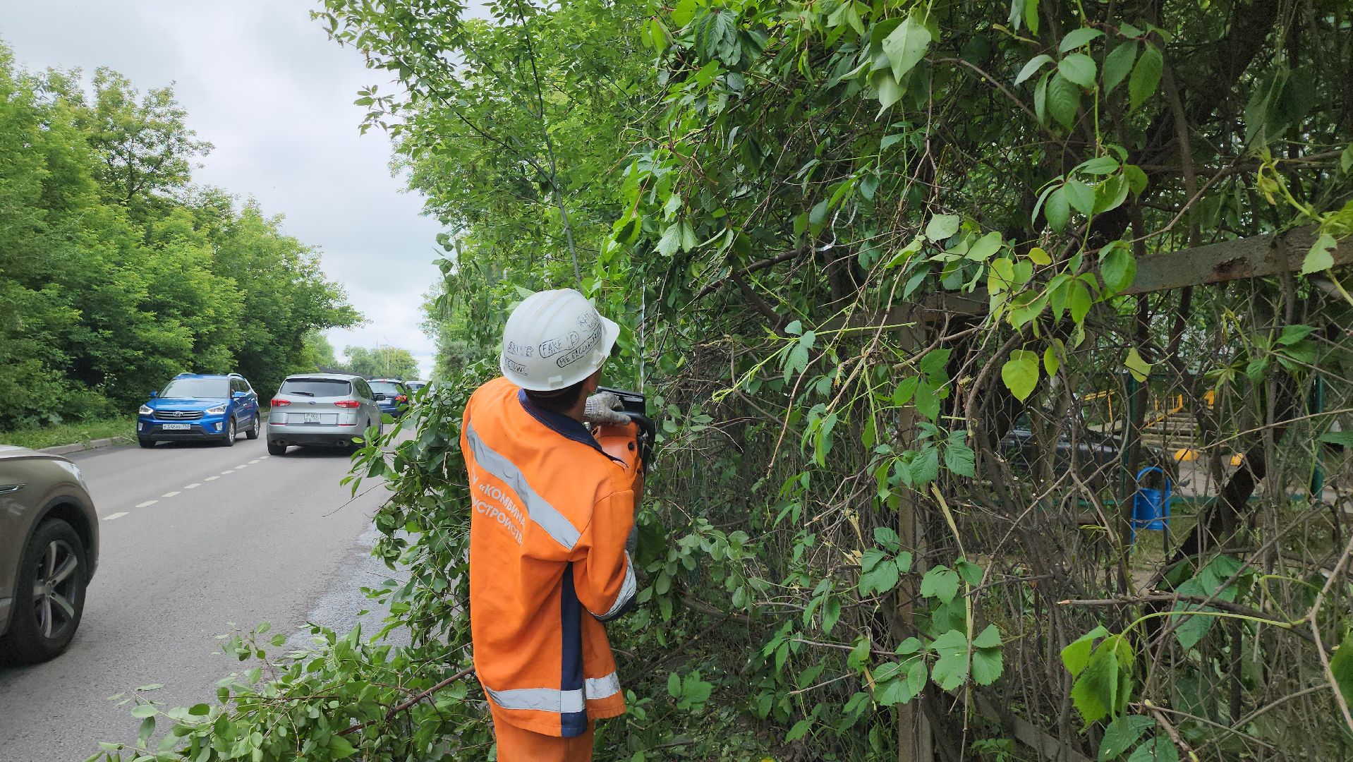 серпухов, подмосковье, опиловка деревьев,