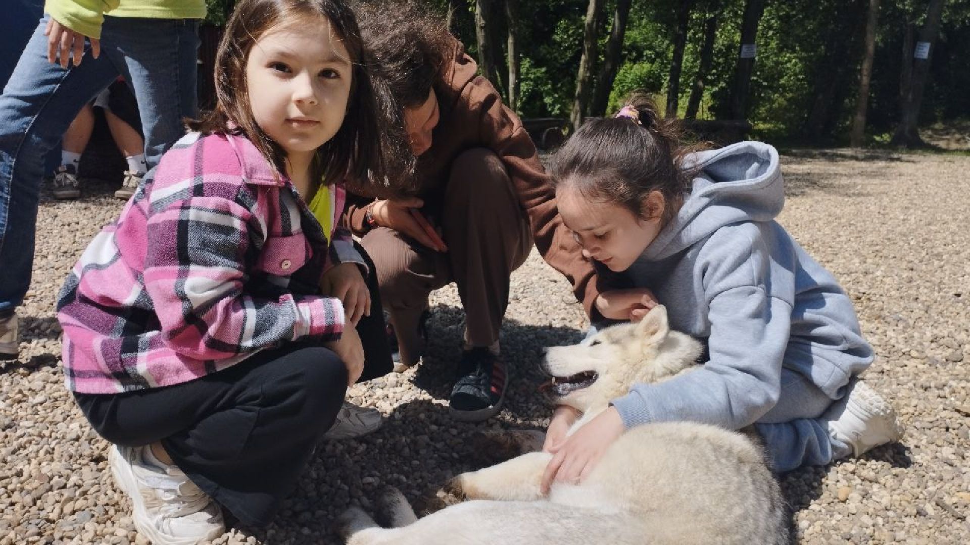 ивантеевка, экопарк, парк семейного отдыха, дети с овз, дикие животные,экскурсия,прогулка,центр социального обслуживания,вертикалки,