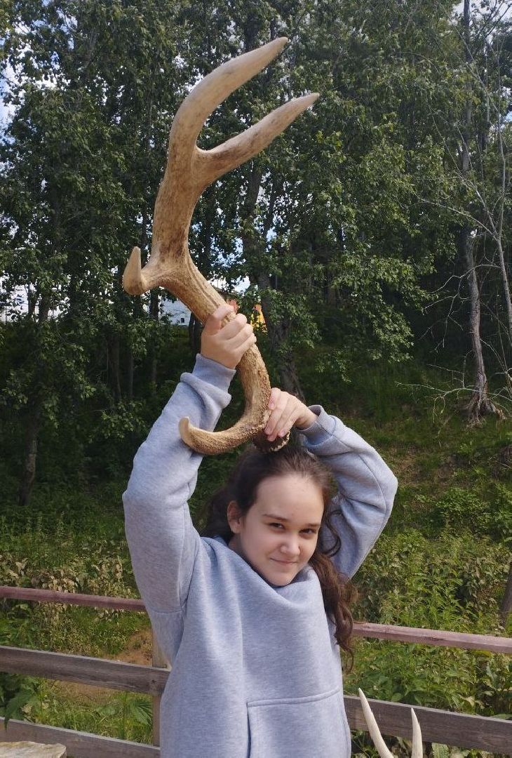 ивантеевка, экопарк, парк семейного отдыха, дети с овз, дикие животные,экскурсия,прогулка,центр социального обслуживания,вертикалки,