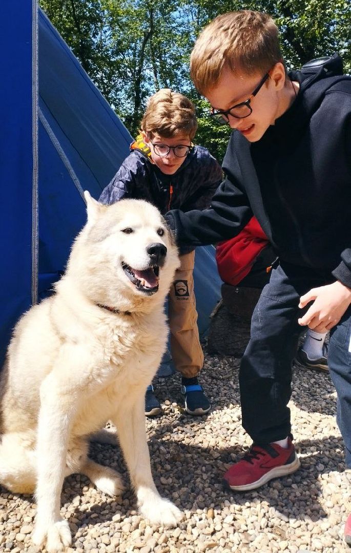 ивантеевка, экопарк, парк семейного отдыха, дети с овз, дикие животные,экскурсия,прогулка,центр социального обслуживания,вертикалки,