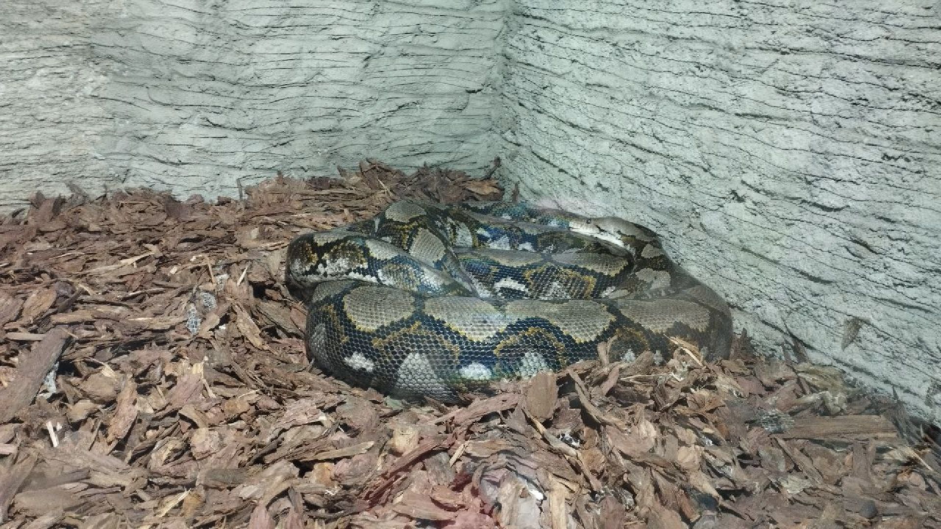 ивантеевка, экопарк, парк семейного отдыха, дети с овз, дикие животные,экскурсия,прогулка,центр социального обслуживания,вертикалки,