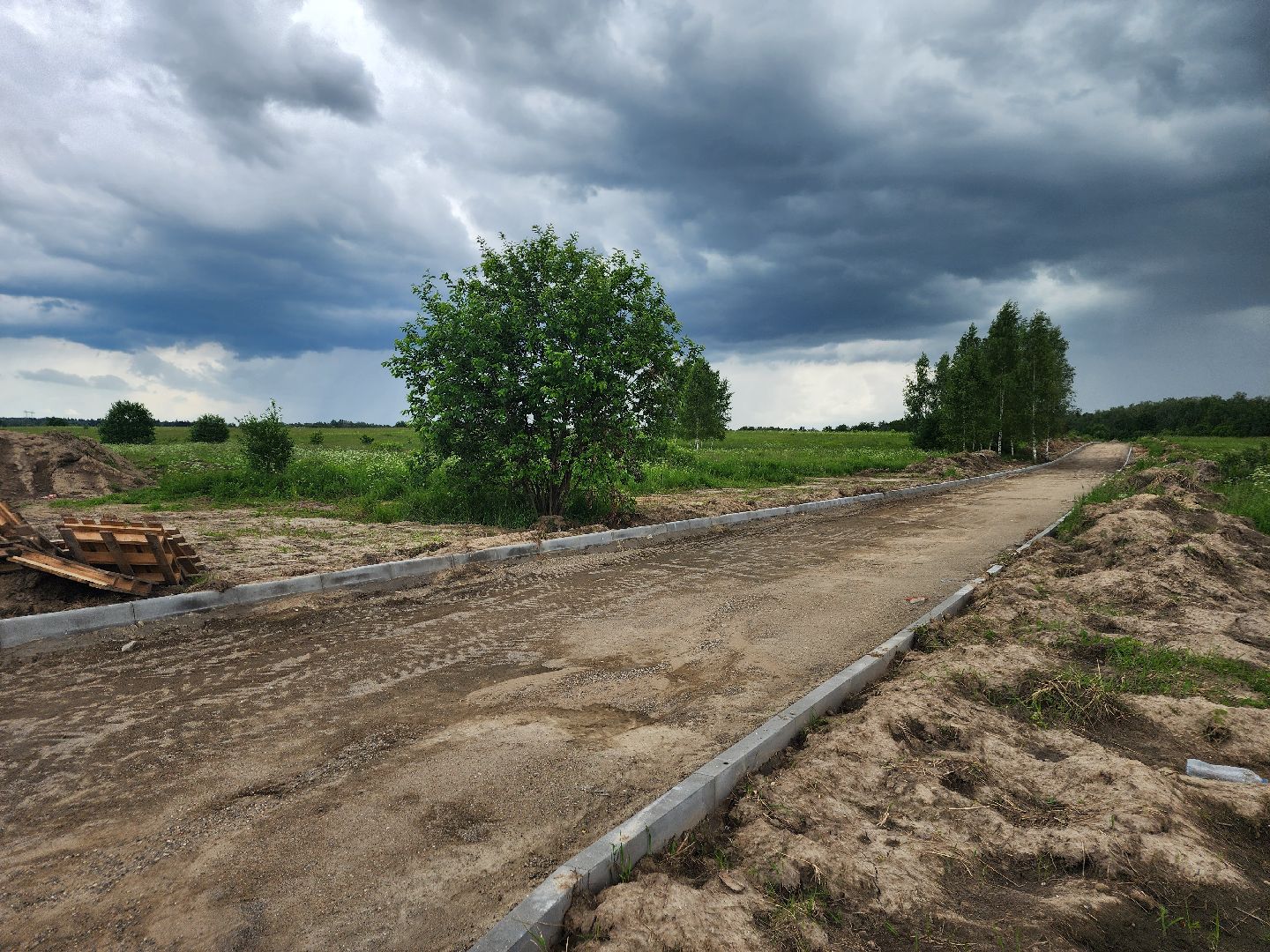 фрязино, благоустройство, усадьба гребнево, набережная,