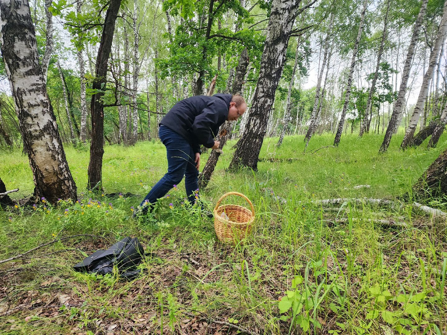 пущино, серпухов, грибы,
