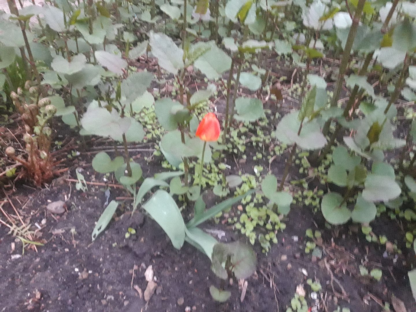 выходи во двор, доброе дело,