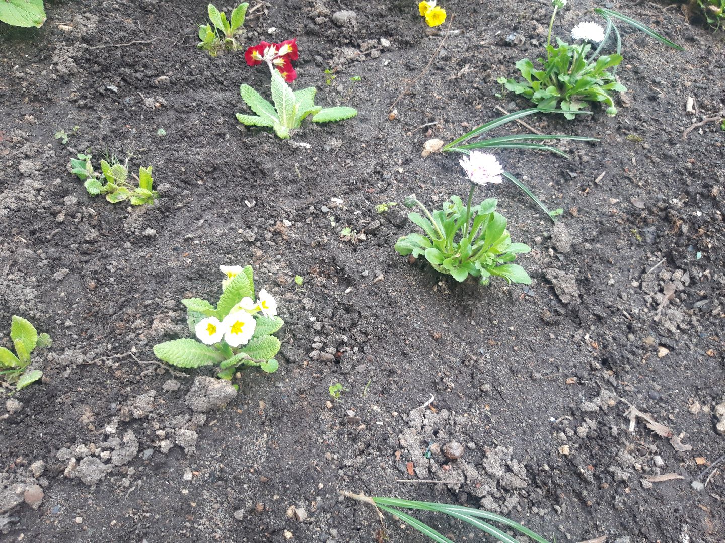 выходи во двор, доброе дело,