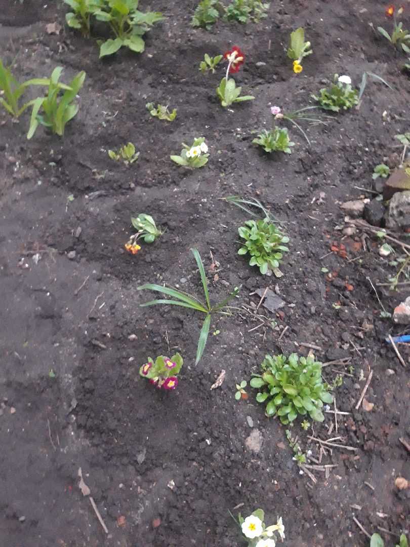 выходи во двор, доброе дело,