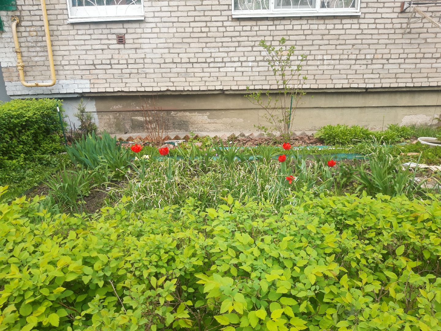 выходи во двор, доброе дело,