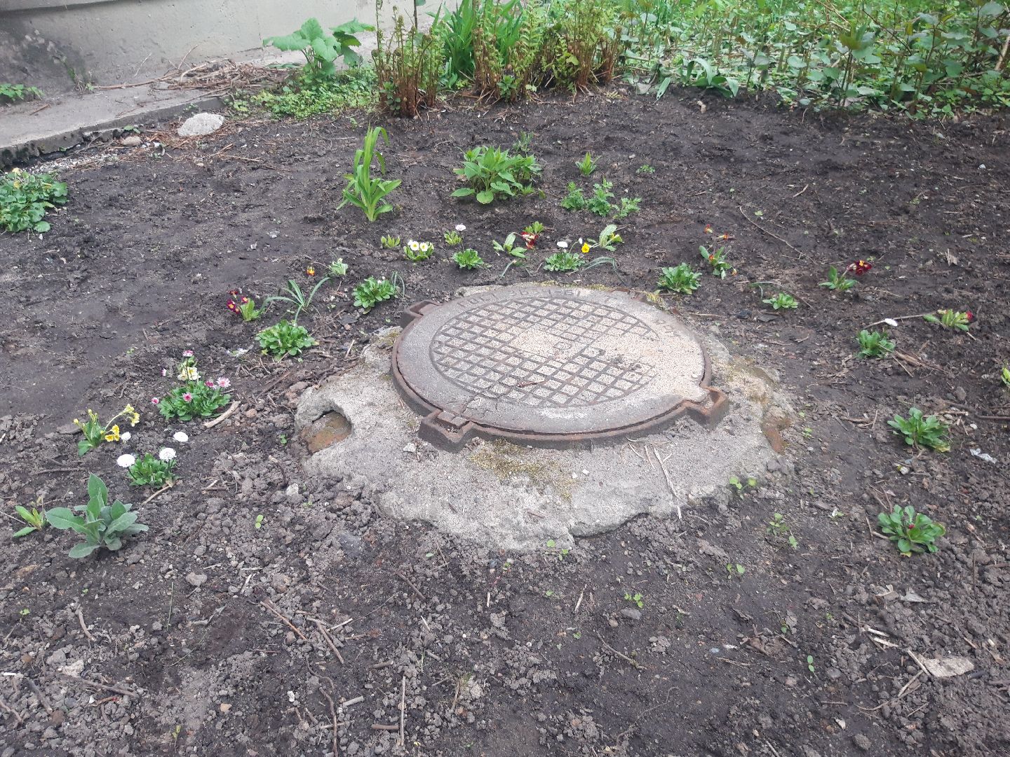 выходи во двор, доброе дело,