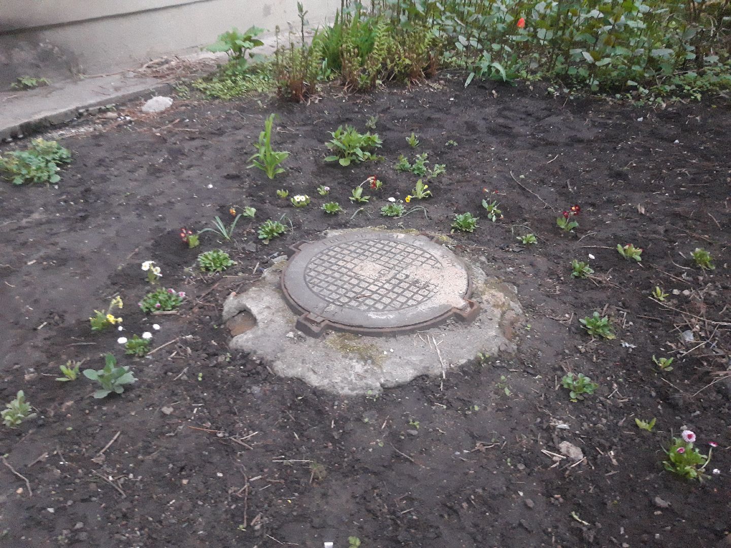 выходи во двор, доброе дело,