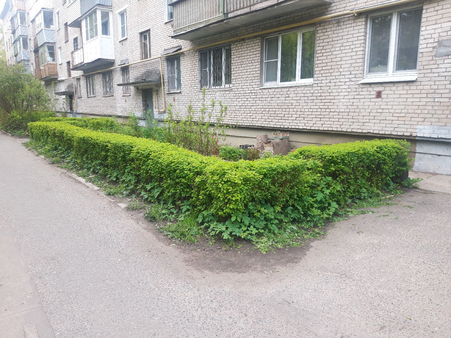 выходи во двор, доброе дело,