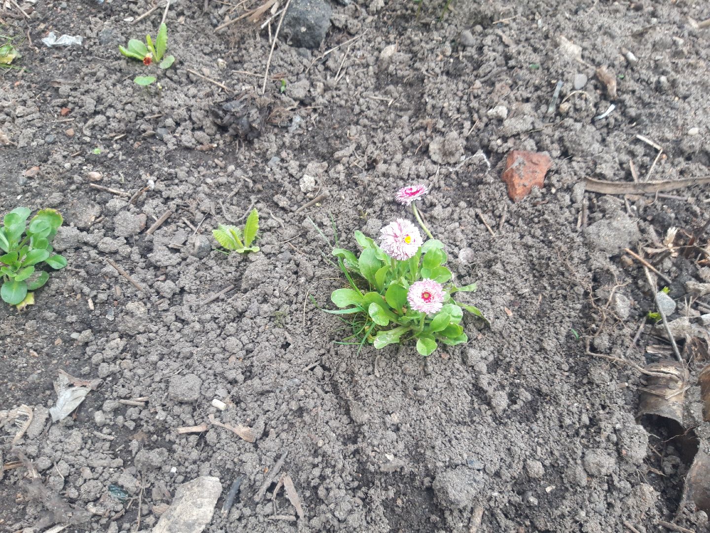 выходи во двор, доброе дело,