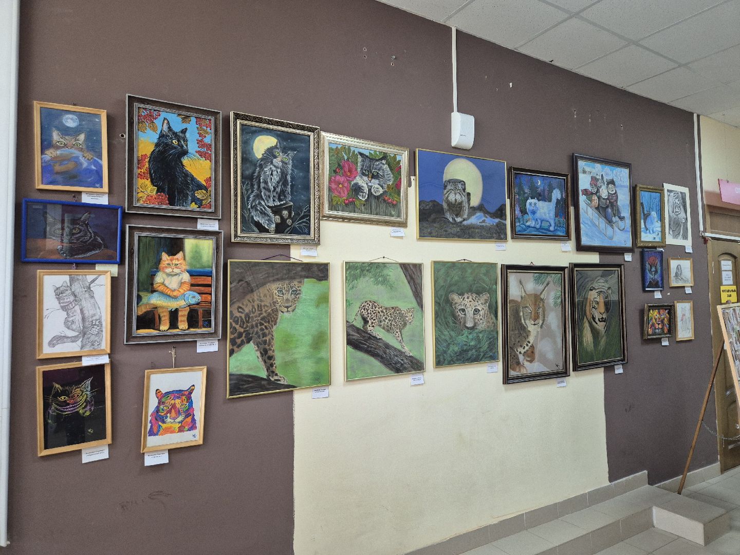 дубна, фотовыставка, всевбиблиотеку,