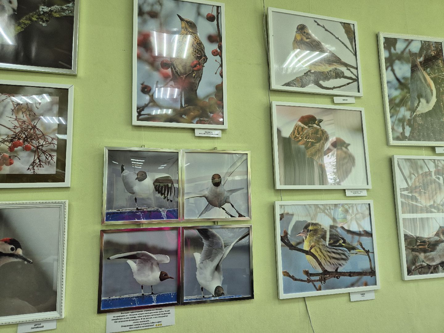 дубна, фотовыставка, всевбиблиотеку,