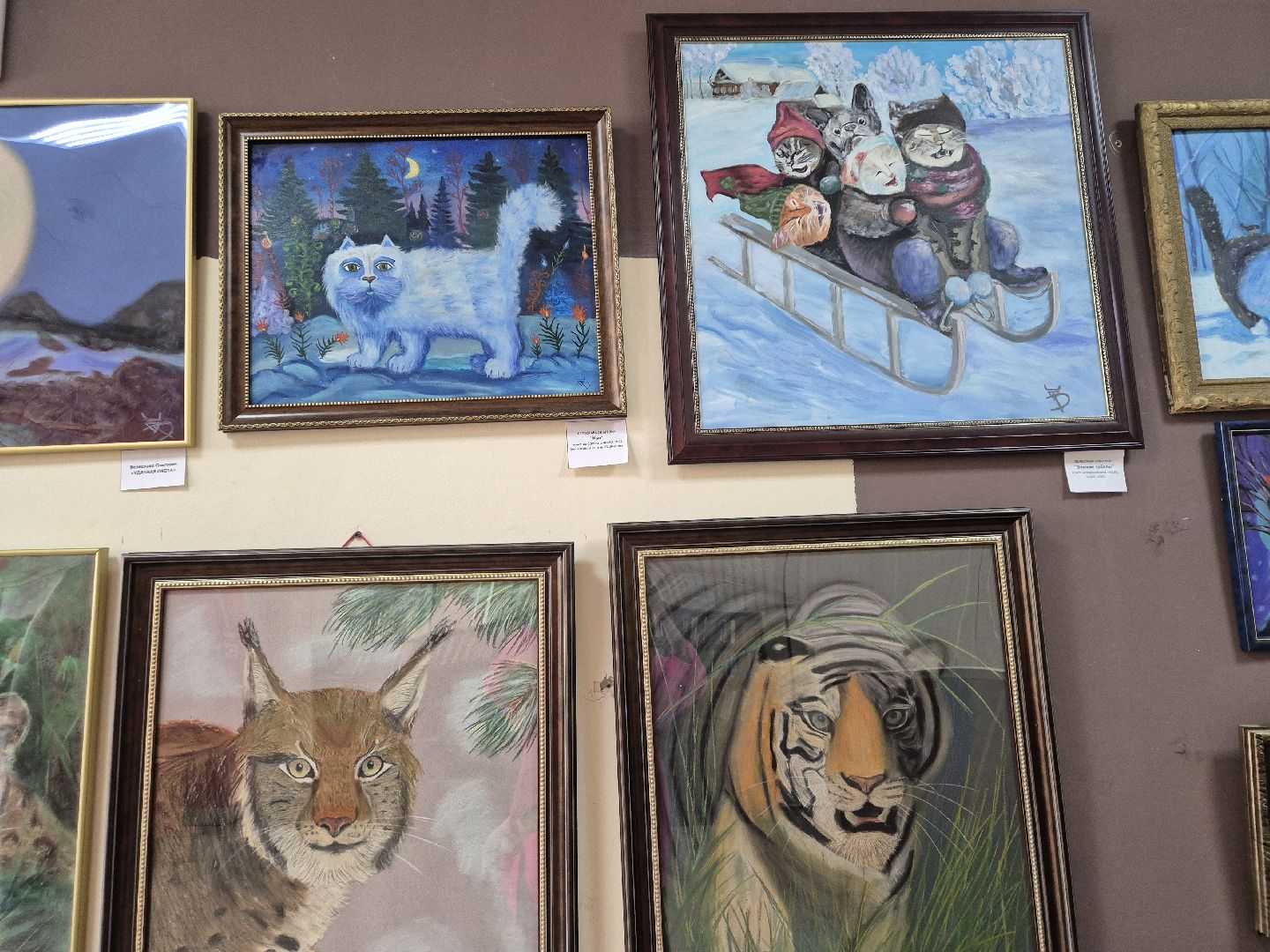 дубна, фотовыставка, всевбиблиотеку,