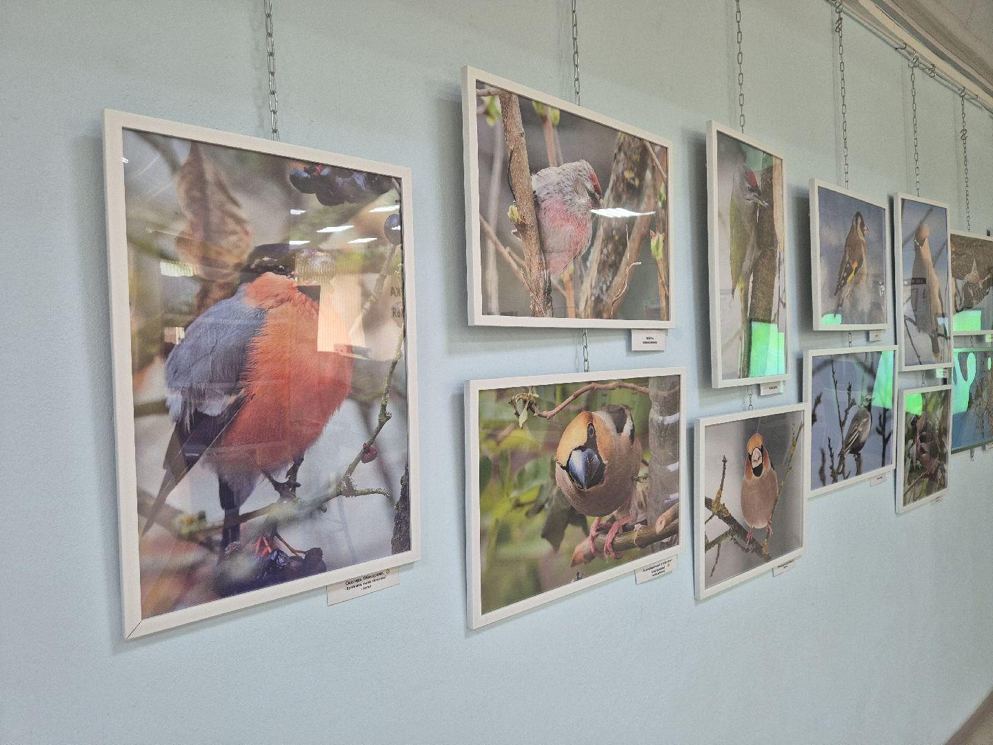 дубна, фотовыставка, всевбиблиотеку,