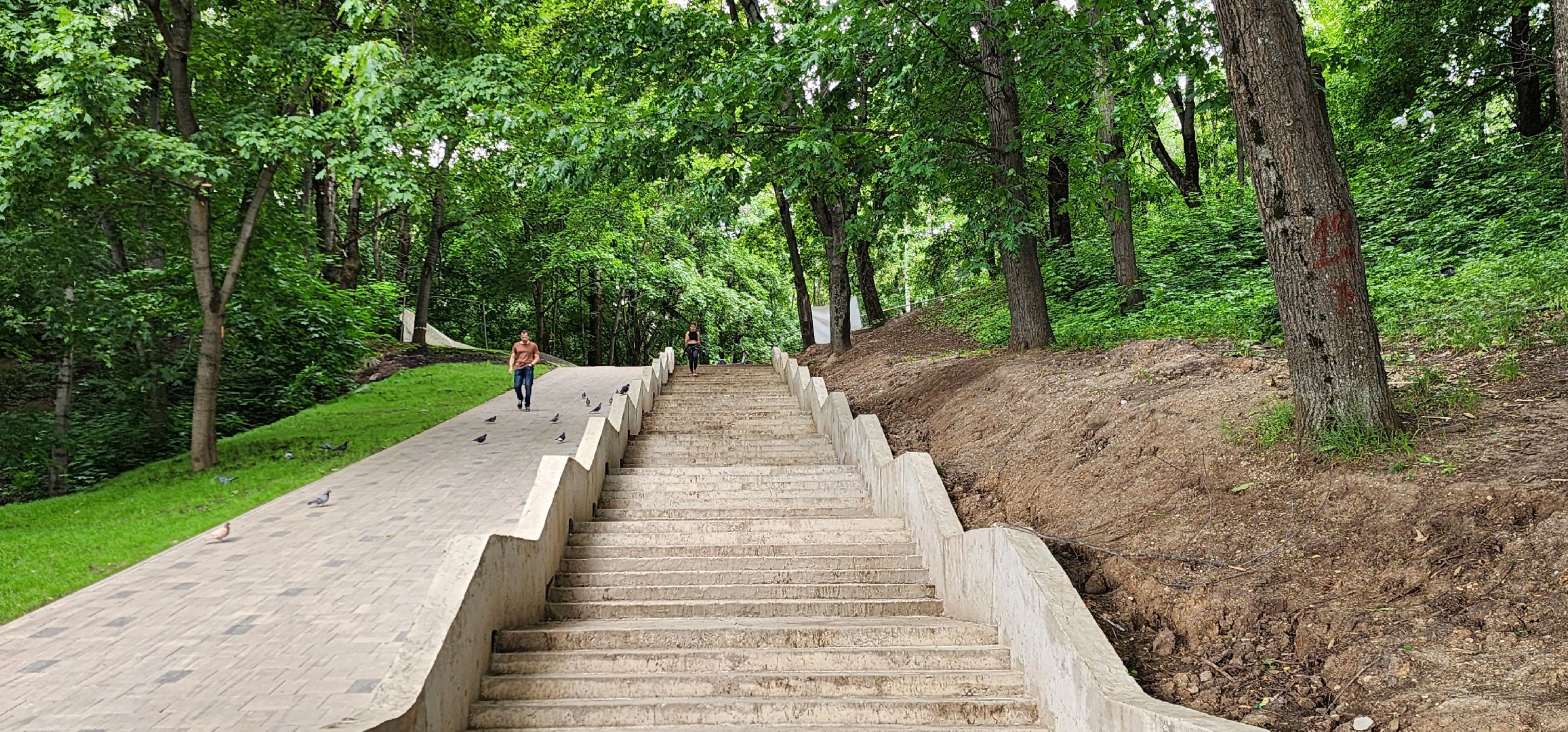 Химки, Пляж, Зоны отдыха , Благоустройство ,