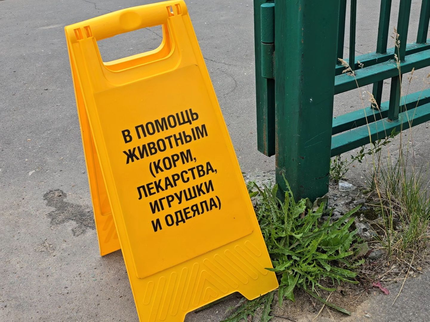 Коломна , помощь животным,волонтеры подмосковья,