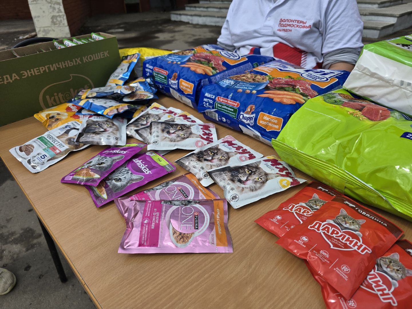 Коломна , помощь животным,волонтеры подмосковья,