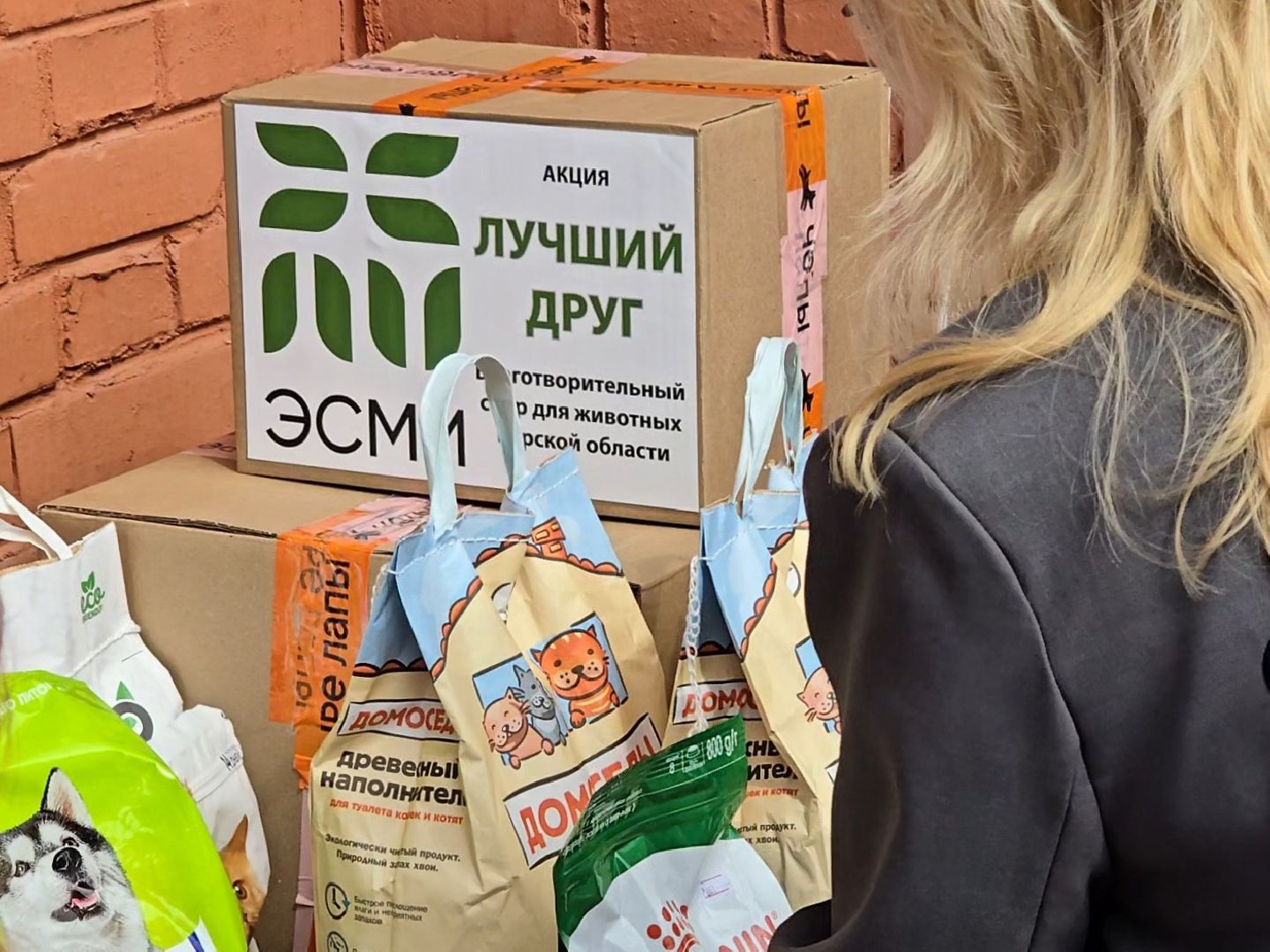 Коломна , помощь животным,волонтеры подмосковья,