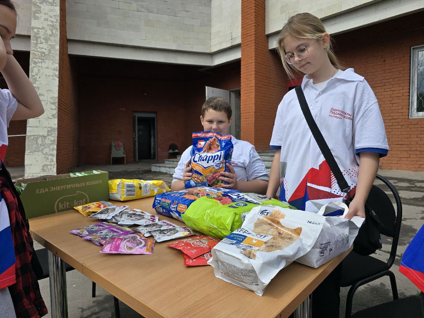 Коломна , помощь животным,волонтеры подмосковья,