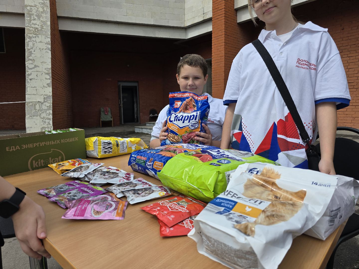 Коломна , помощь животным,волонтеры подмосковья,