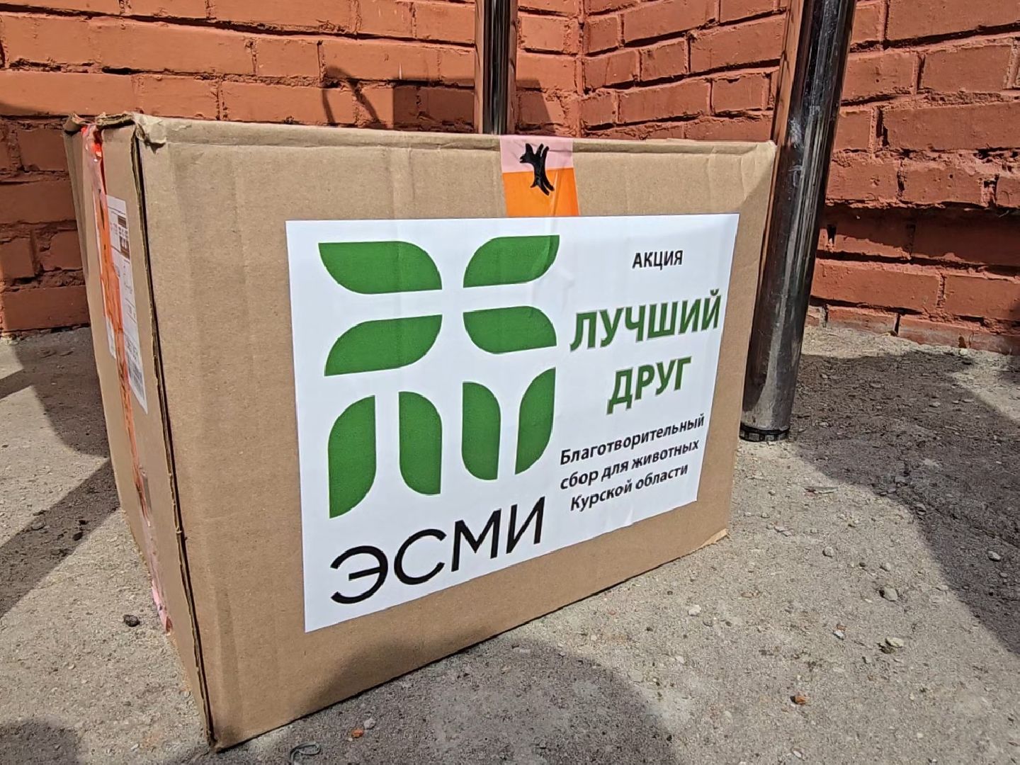 Коломна , помощь животным,волонтеры подмосковья,