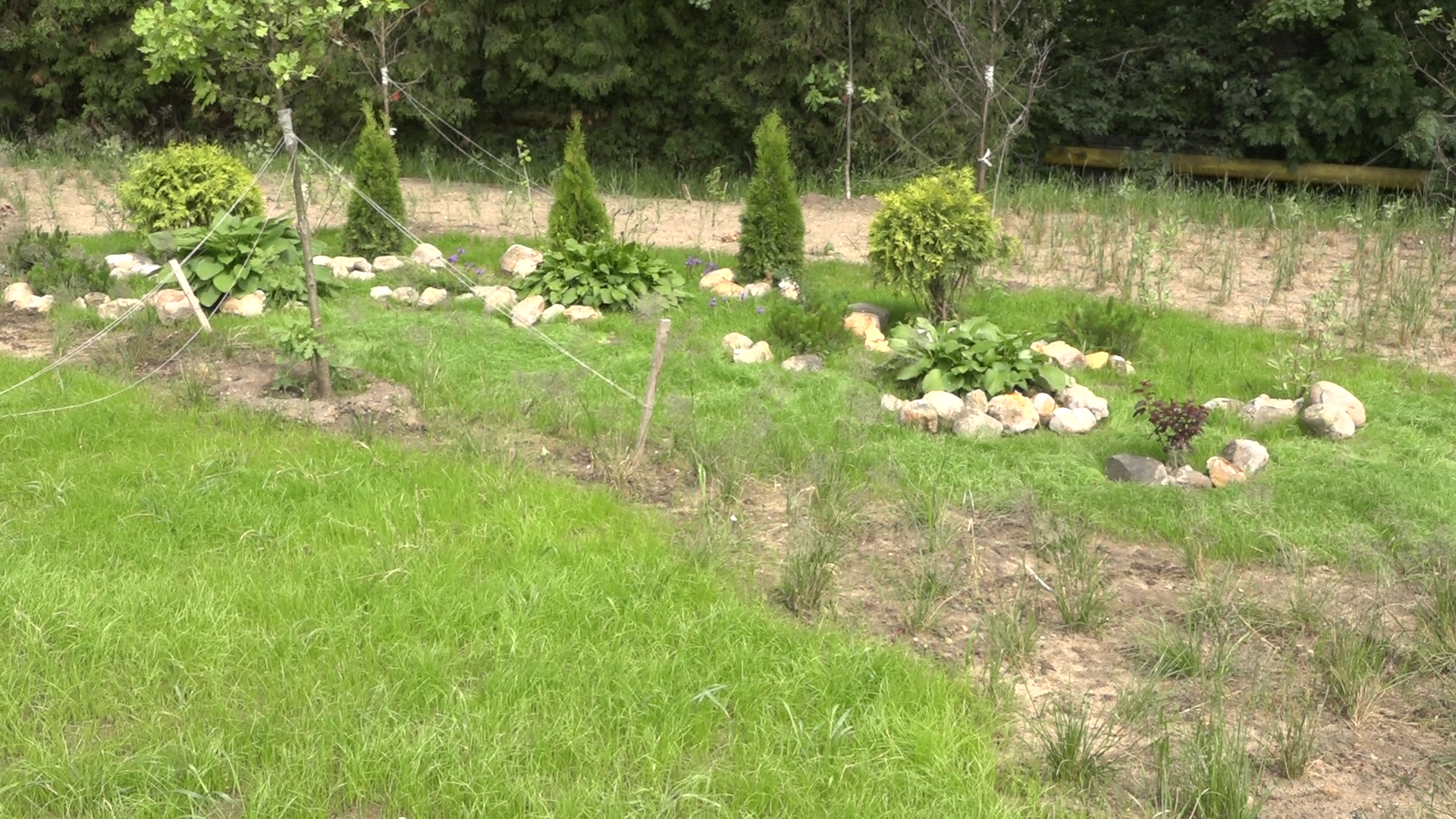 власиха, ракетная столица, кпп-2 власиха, благоустройство территории, реконструкция территории,