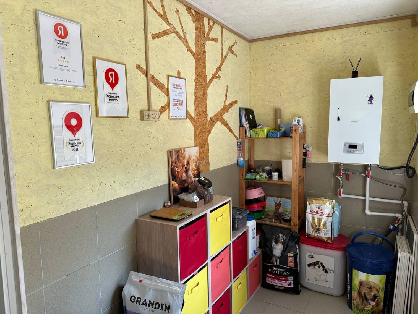 уход за животными, домодедово,