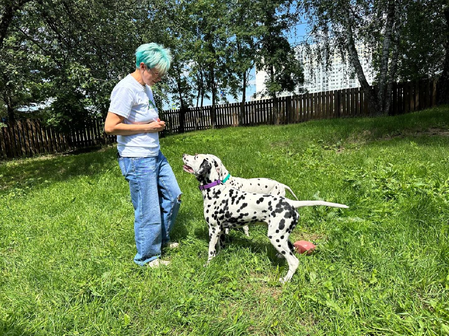 уход за животными, домодедово,