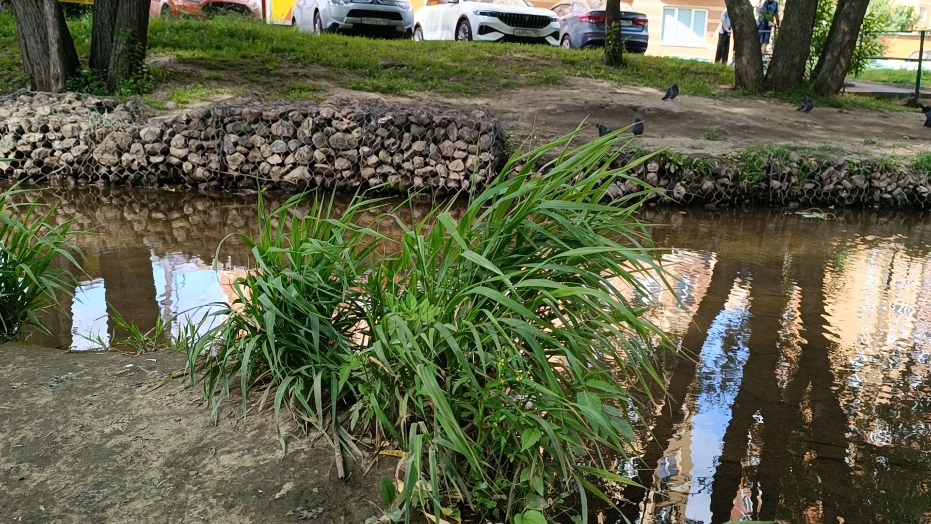 река, экология, лобня,