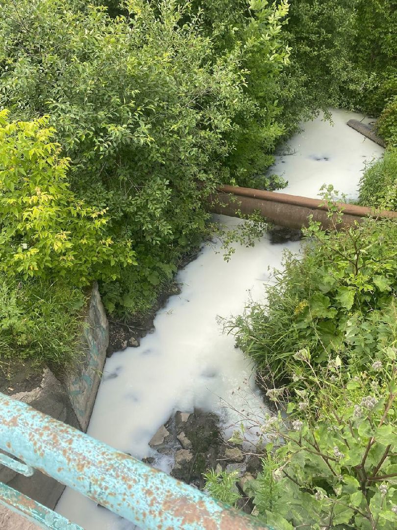 река, экология, лобня,