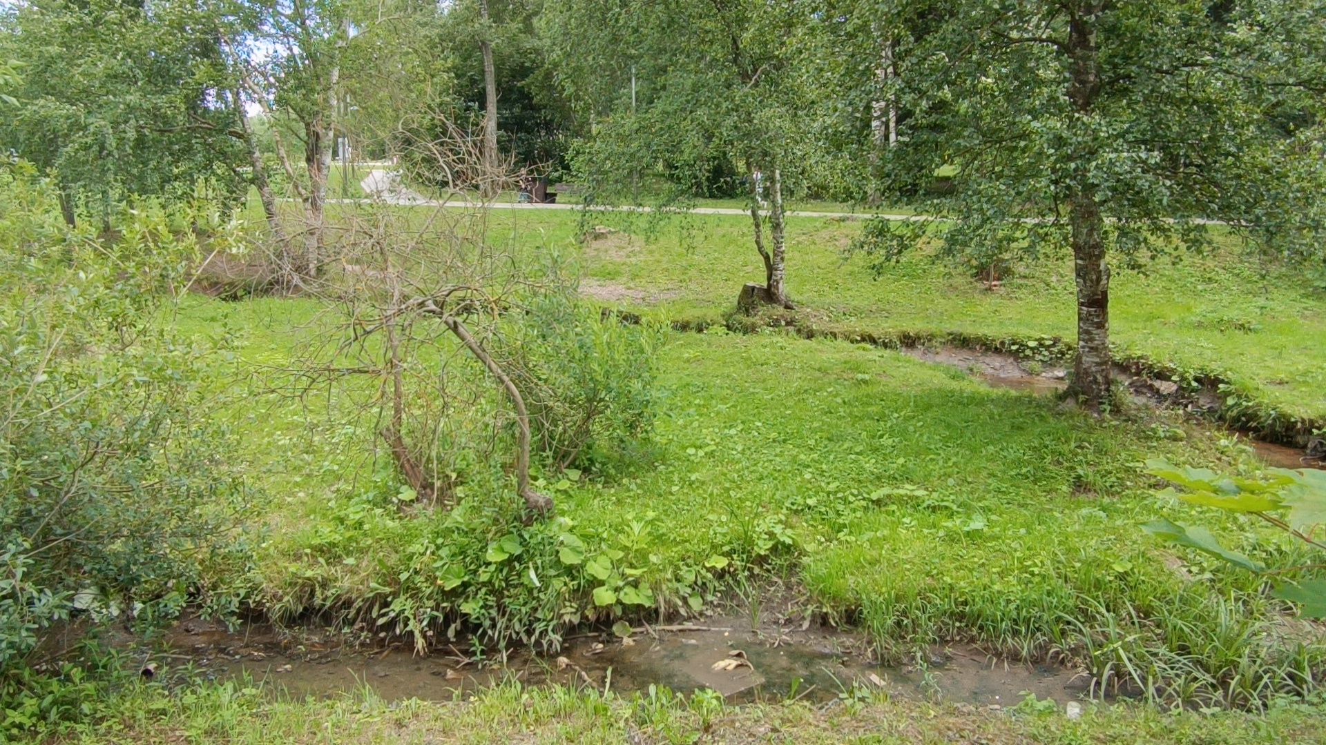 река, экология, лобня,