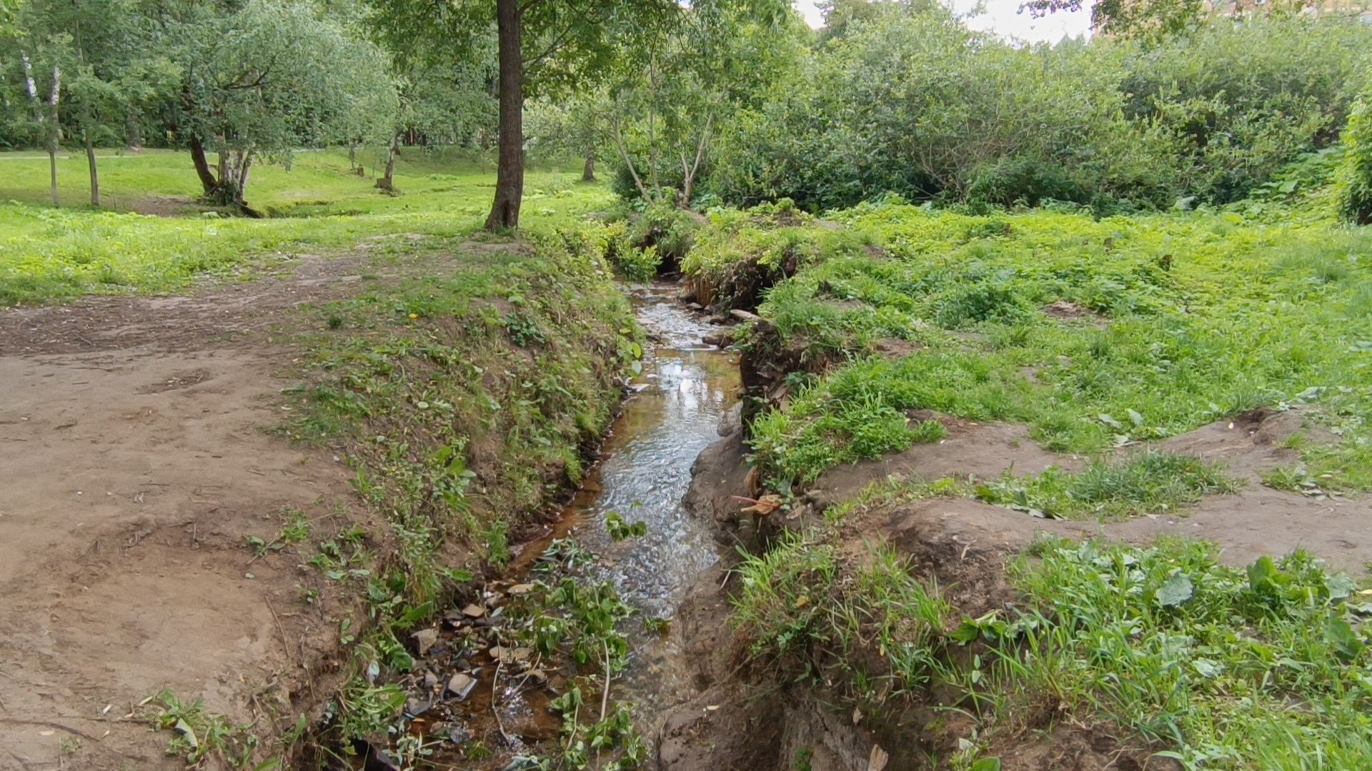 река, экология, лобня,