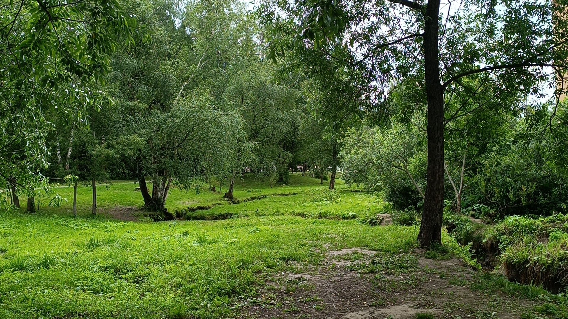 река, экология, лобня,