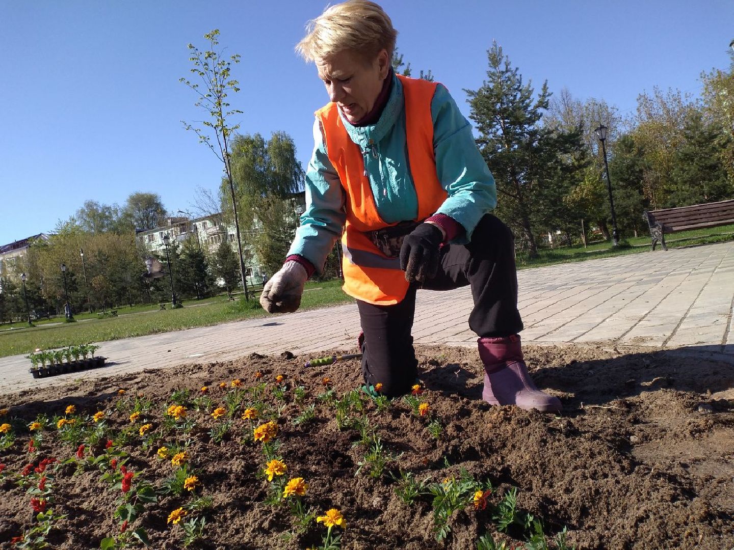 благоустройство, цветы, клумбы, Лосино-Петровский
