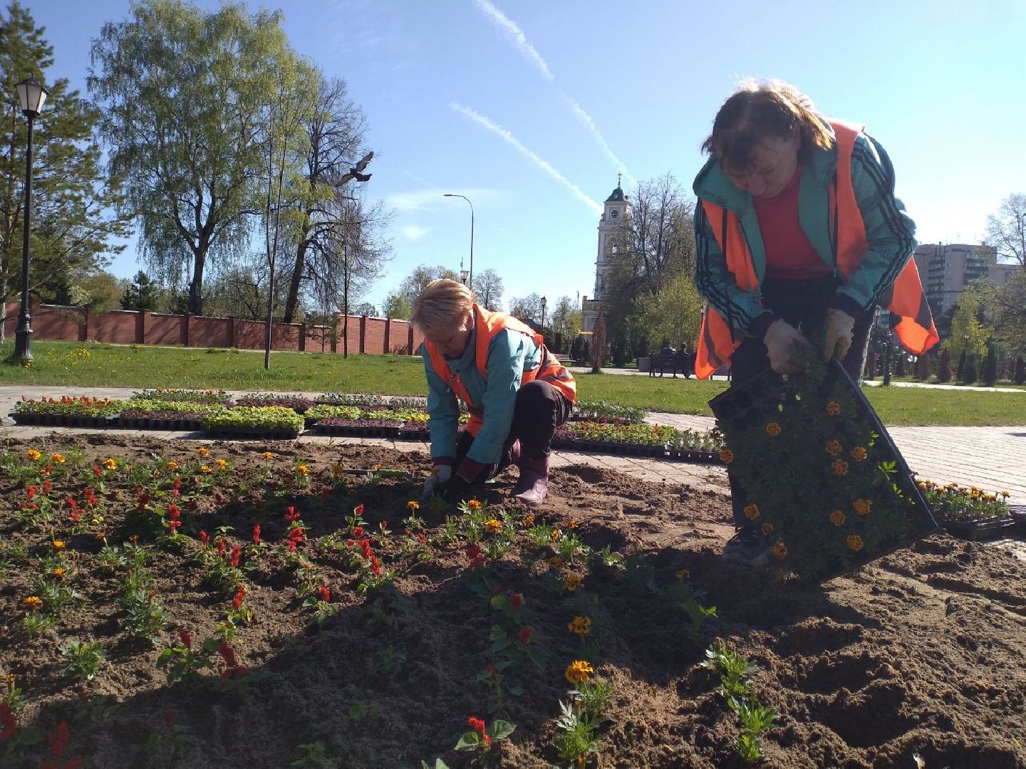 благоустройство, цветы, клумбы, Лосино-Петровский