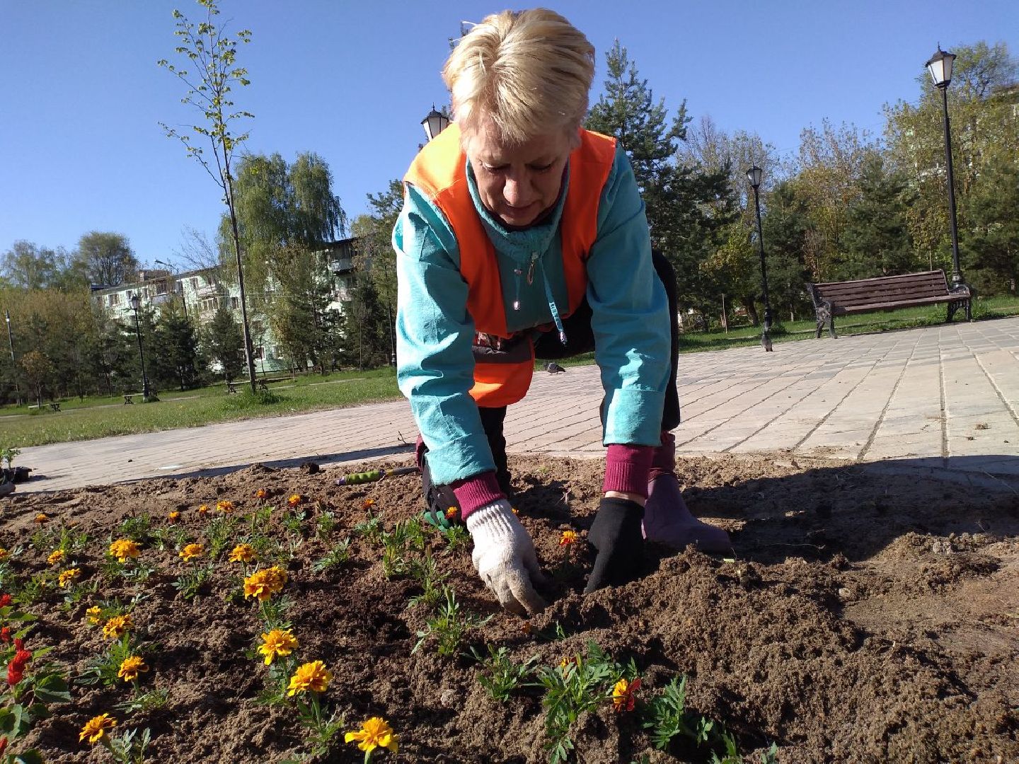 благоустройство, цветы, клумбы, Лосино-Петровский