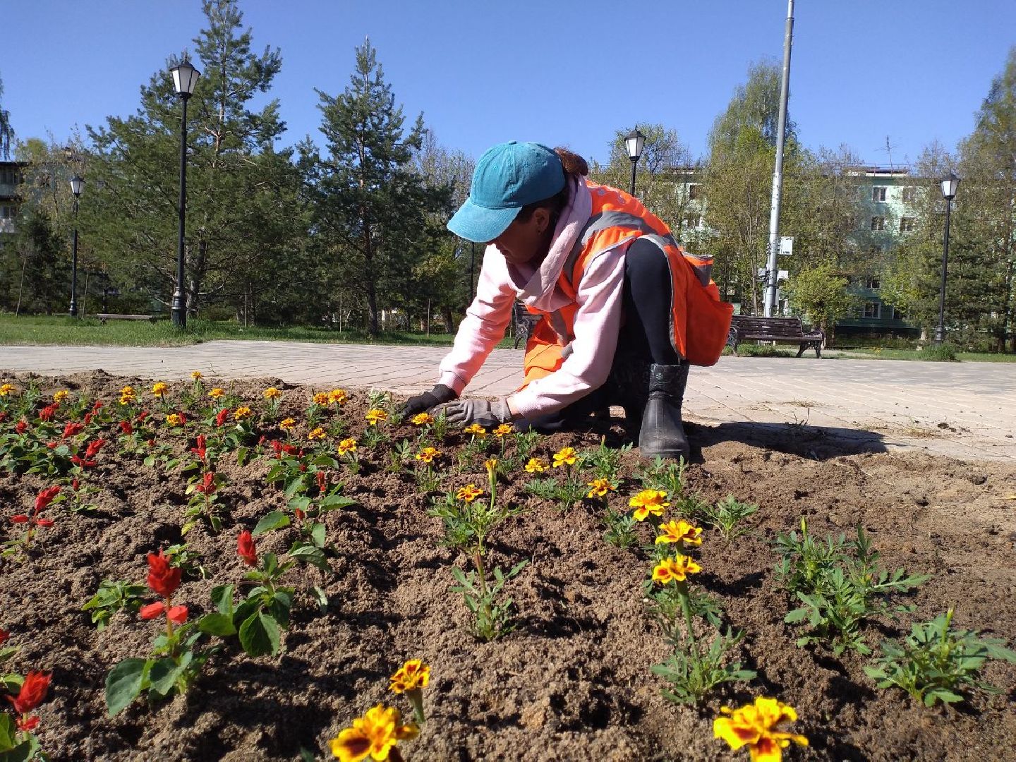 благоустройство, цветы, клумбы, Лосино-Петровский