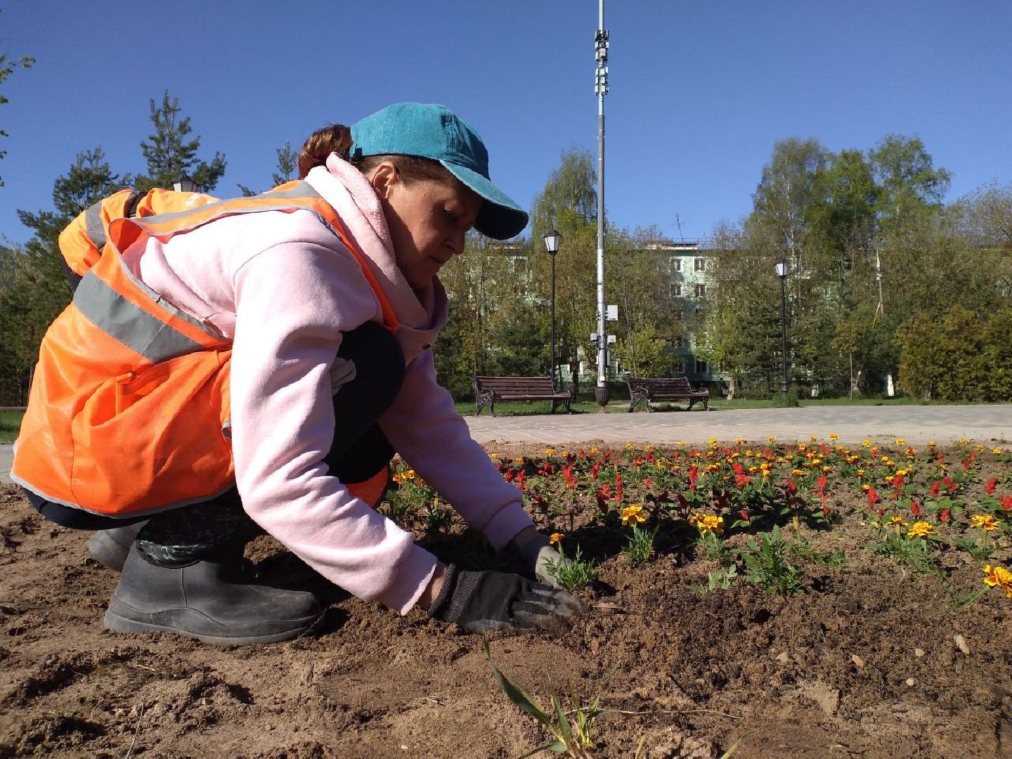 благоустройство, цветы, клумбы, Лосино-Петровский