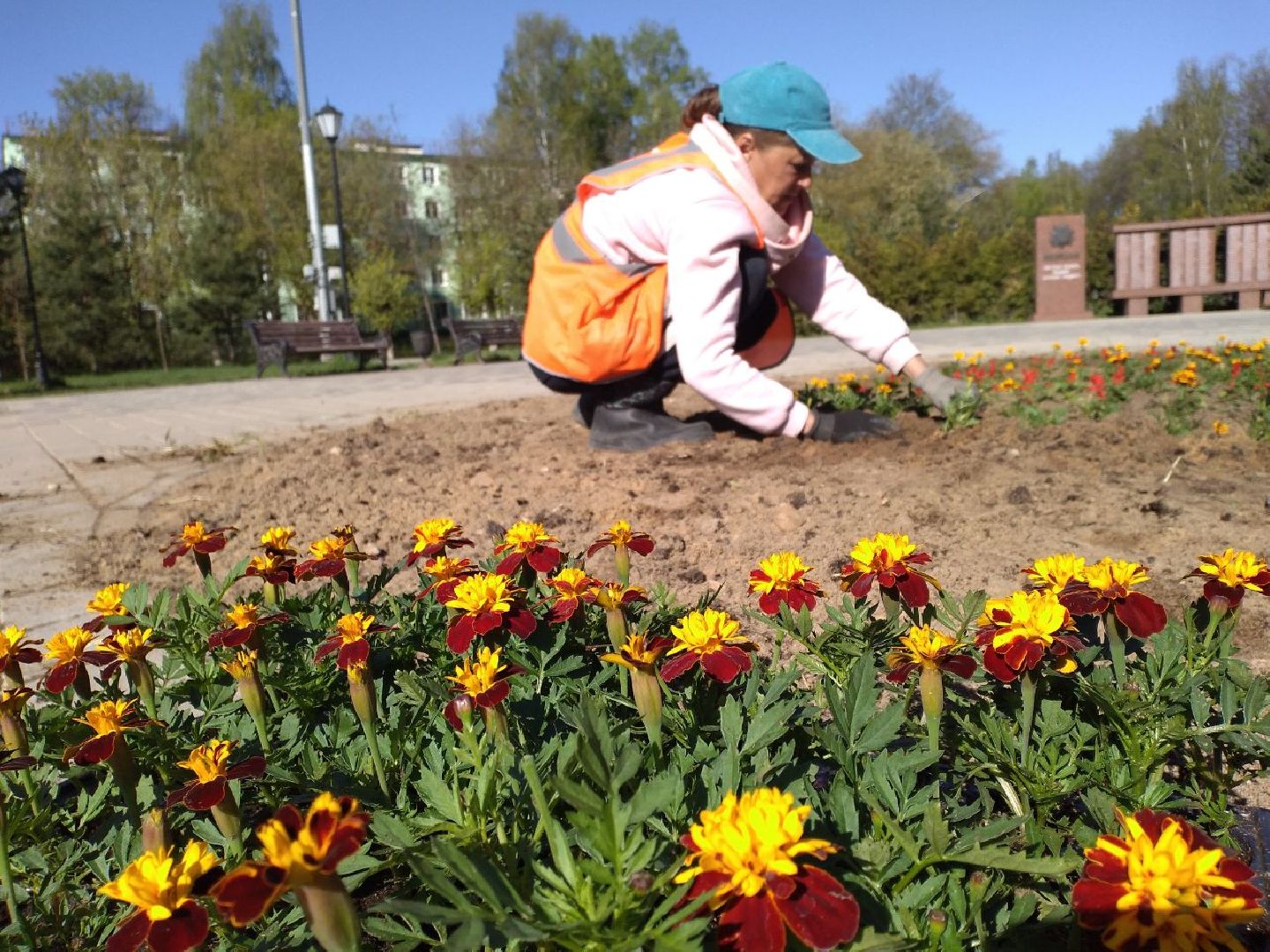 благоустройство, цветы, клумбы, Лосино-Петровский