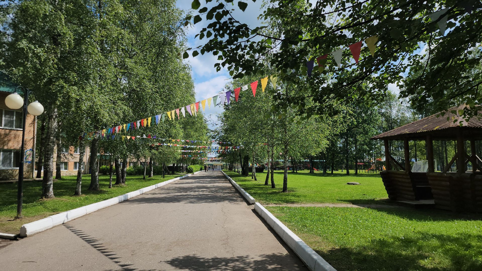 Истра, Детский лагерь,Дети, Лето, детский оздоровительный лагерь,