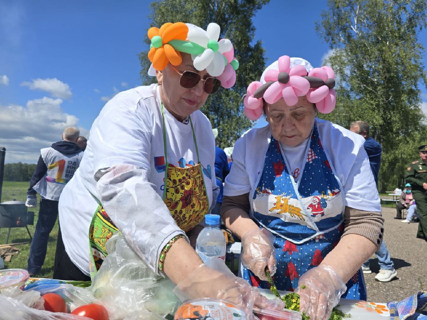 можайск, можайский муниципальный округ, подмосковье, фестиваль, Щи из топора на полях Бородина, активное долголетие , бородино, музей-заповедник бородинское поле, губернаторская программа,