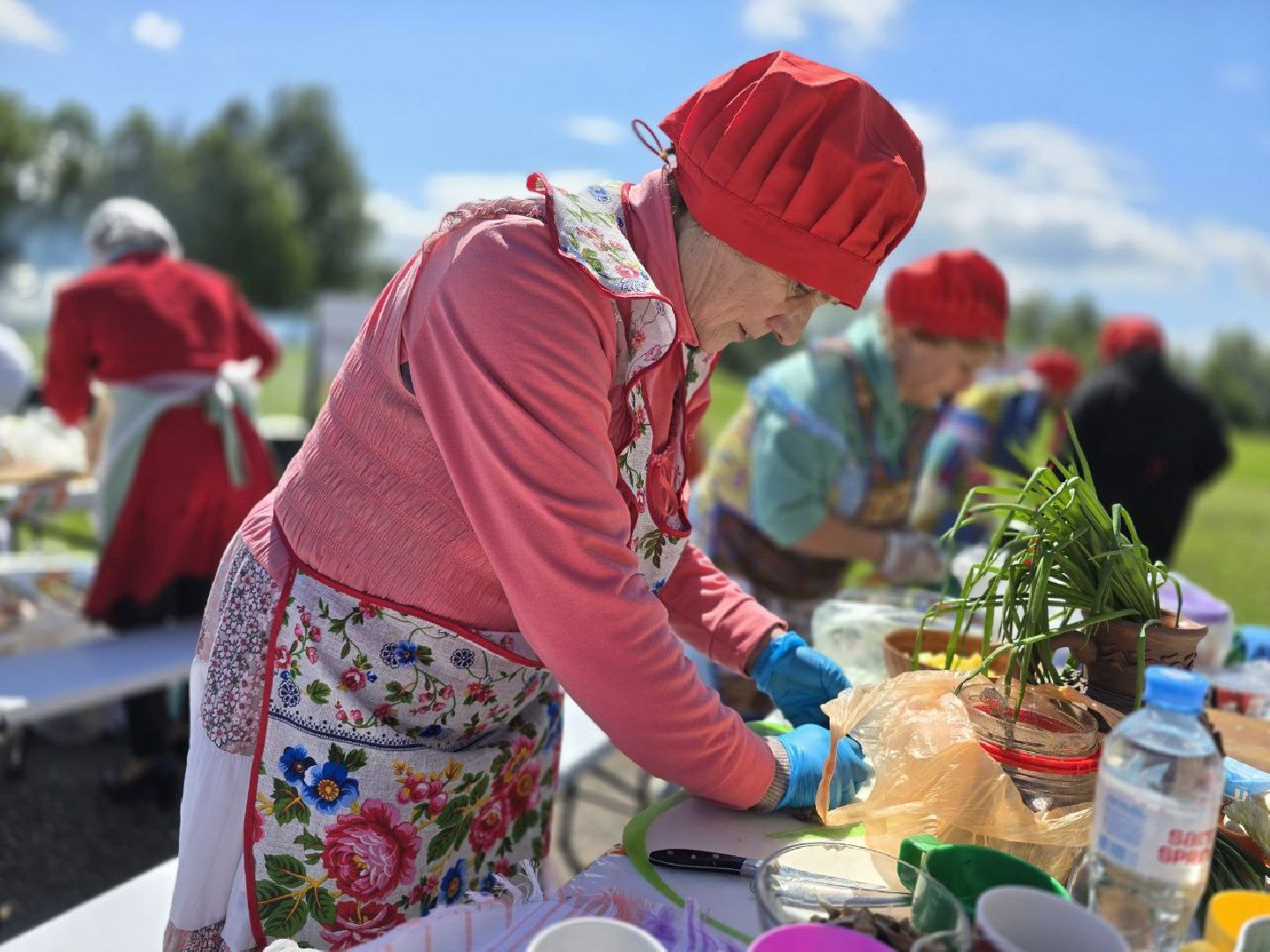 можайск, можайский муниципальный округ, подмосковье, фестиваль, Щи из топора на полях Бородина, активное долголетие , бородино, музей-заповедник бородинское поле, губернаторская программа,