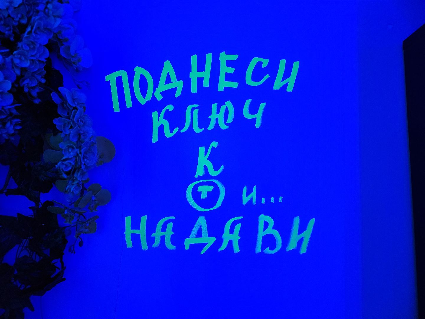 сергиев посад, алиса в стране чудес, однажды в сказке, шляпник, квест, день рождение, льюис кэрролл ,