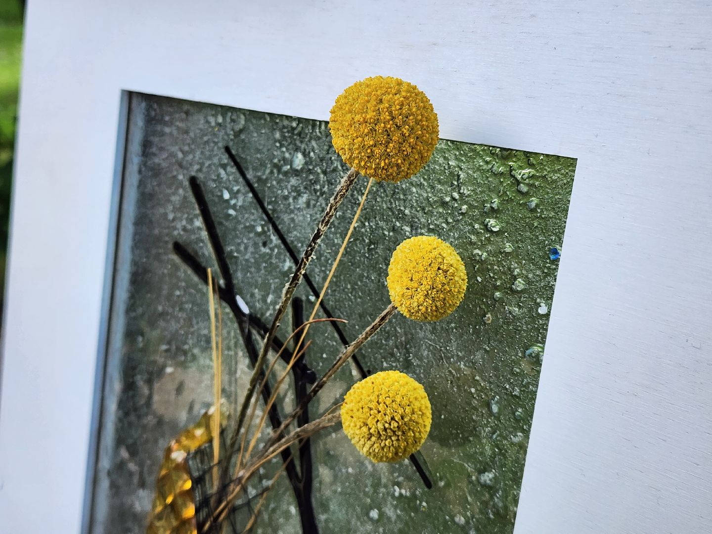 пушкинский городской округ, усадьба мураново, Выставка,