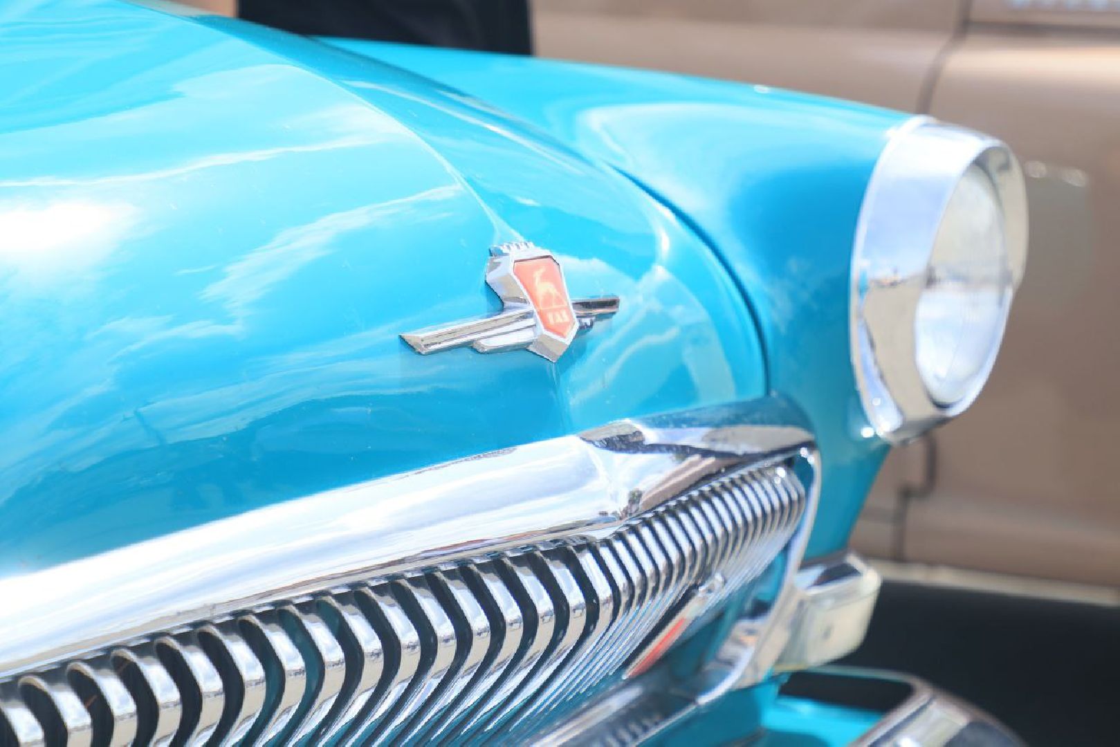 волок мотор фест 2025, фестиваль, волоколамск, зенкевич,