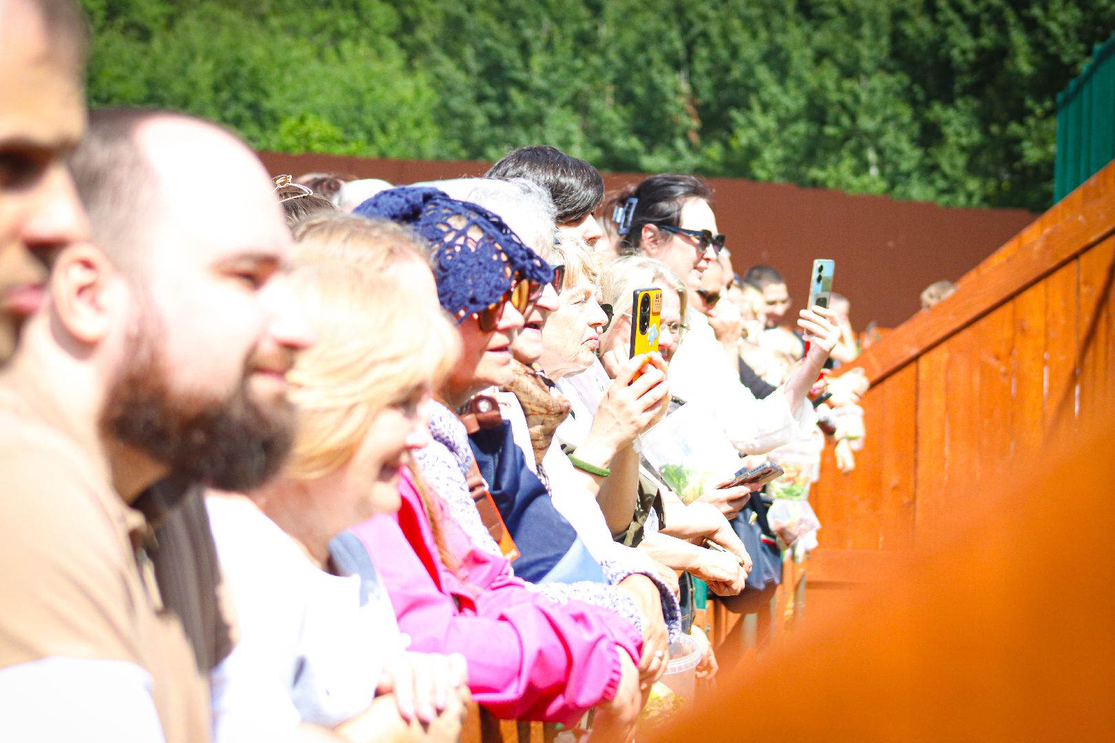 клин, общество, животные,