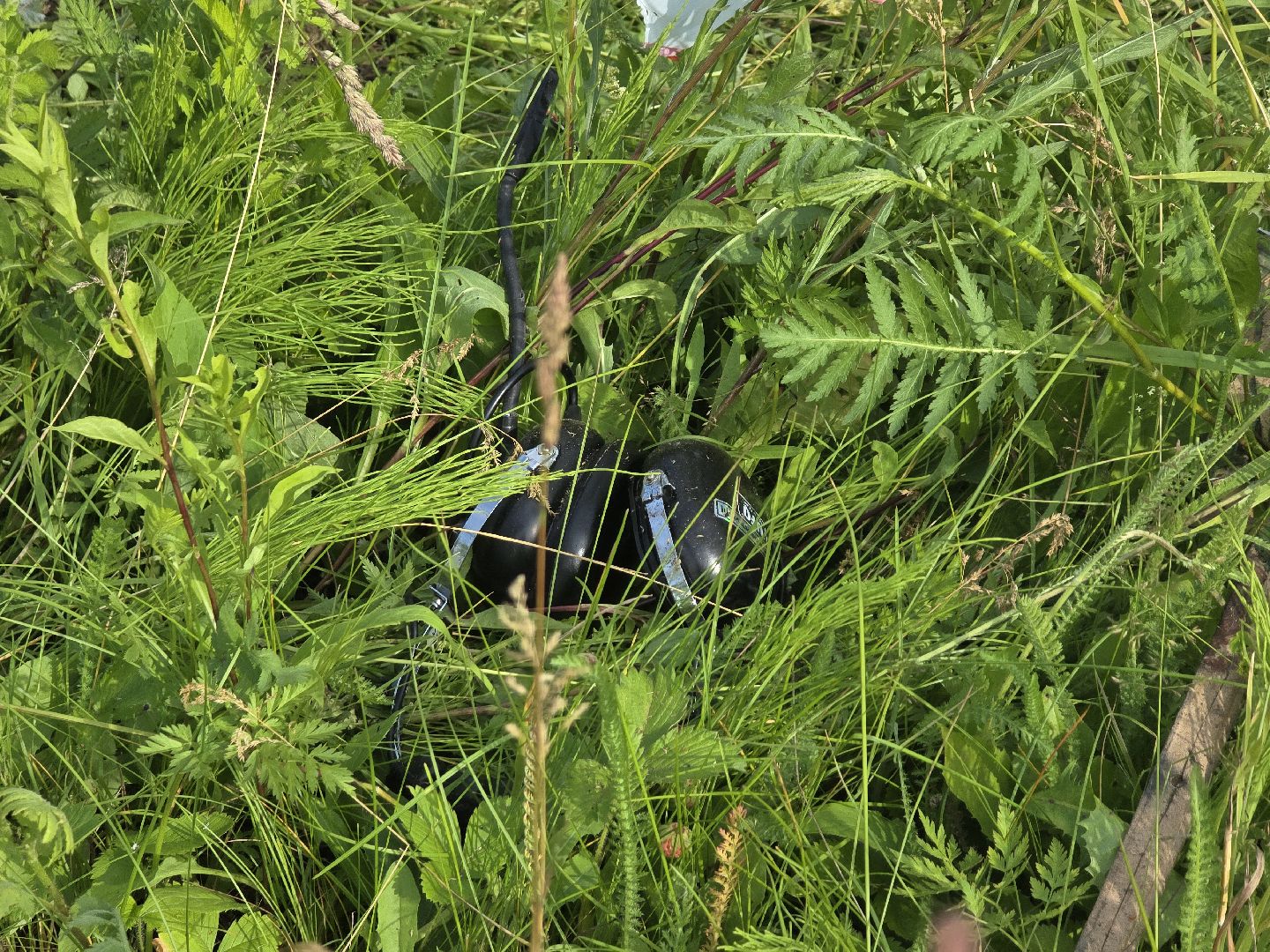 Коломна, чп, крушение самолета,