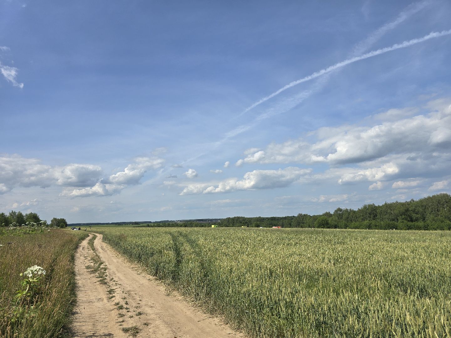 Коломна, чп, крушение самолета,