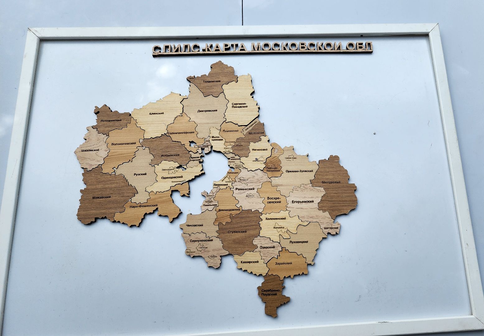 домодедово, подмосковье, молодежь, молодая гвардия, первые, время первых, росмолодёжь, парки подмосковья, досуг, отдых, культура,